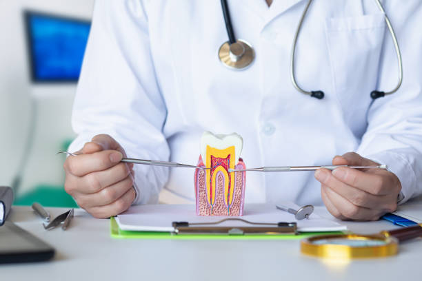 Best Pediatric Emergency Dentist in Forest Heights, MD